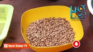 How to make Delicious githeri at home || Kenyan Village Girl | Subscribe | Harei Global TV