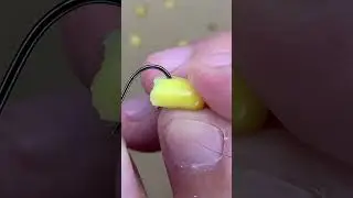 How to Properly Hook Corn for Fishing! 🎣🌽 #fishing #diy #jigheads #bassfishing #handtiedjigs