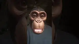 monkey🐒 style video#foryou #video #tiktok