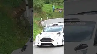 NOTARE LA TARGA DELLA SEMPRE COMPETITIVA  FORD FIESTA TURBO 4X4 RS