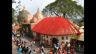 Ambubachi Mahayog 2025 Day-4#live   #from  #maakamakhya  #temple
