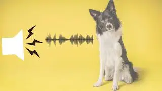 Pitched Dog Whistle Sound  Help To Stop Dogs Barking-Sound effect