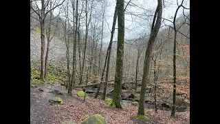 Ambisonic Recording Project (Part 12) - Pontus Gunve - Söderåsen National Park
