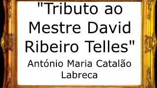 Tributo ao Mestre David Ribeiro Telles  - António Maria Catalão Labreca [Pasodoble]