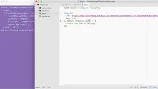 Node.js Developer Course፡ Asynchronous Node.js Pretty Printing Objects