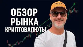 Cryptocurrency Market Review from an Expert