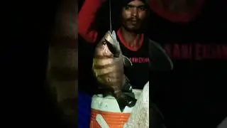 Break Water Night Fishing #fishing