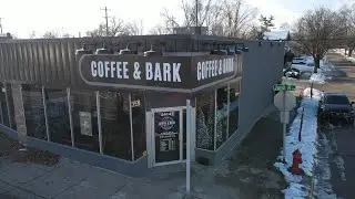Business Profile: Coffee and Bark