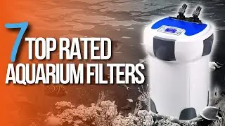 🙌 TOP 7 BEST Aquarium Filters | Aquarium Filters  Review