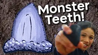Kids find MONSTER SHARK TEETH in their own back yard!