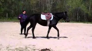 ForeverMorgans-Layla .mp4