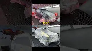 Toyota Prado GX Refurbishment!