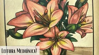 A Cigana REVELA TUDO sobre seu NOVO AMOR😱🥰👊LETRA INICIAL