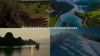 Bid on Your Dream Vacation Today! Exclusive Luxury Travel Auctions with Black Platinum Gold