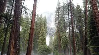 DJI Osmo Pocket Timelapse | Yosemite