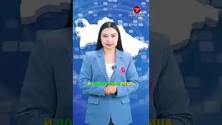 Справки о судимости #news #baki #tv #turkmenistan