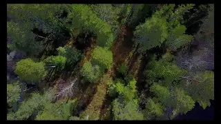 MAVIC PRO | VIRTASALMI