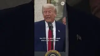 Donald Trump 'disappointed' with Vladimir Putin #Shorts