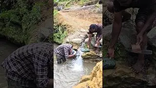 fake crocodile prank