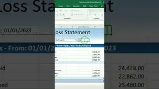 Dynamic income statement