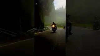 Pagal Hua Main X Darjeeling | Bike Ride Cinematic Forest Video