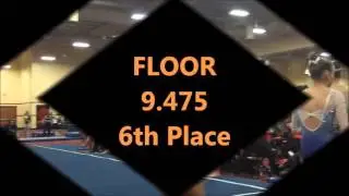 Destiny Whitlock 2016 Region 1 Championships Level 9