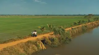 Rural Kerala and Paddy Fields | Cinematic Video | 4K