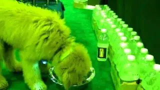 dogdration- 