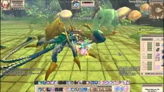 [Grand Fantasia FR] Epreuve sans fin / Endless Trial - Archmage 80