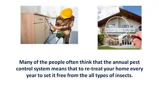 Blue Mountains Pest Control For Sydney Area