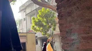 আজ আমার কাজ অনেক কমলো 😇ভাবছি এই ভাবেই ভিডিও করবো এবার থেকে 🫰🏻#minivlog 