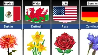 Most Beautiful Flowers from Around the World | Global Floral Wonders | Truth Data Official
