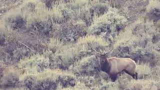Colorado GMU Unit 45 Hunting Information