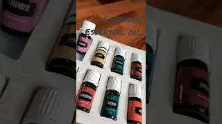 premium experience kit -young living
