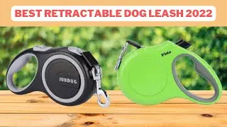 Best Retractable Dog Leash | Retractable Dog Leash Reviews 2022