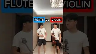 flute vs violin