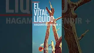 Sequ&iacute;a 2022 #lifestory #lifestyle #youtubecreator