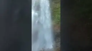 demul