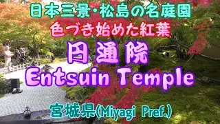 4K日本三景・松島の名庭園「円通院」色づき始めた紅葉（宮城県） 