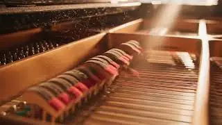 Elegant Jazz Piano Background Music for Fine Dining 🍷 Smooth Sophisticated Evening Instrumentals