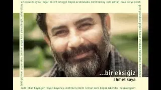 Kaçak ve Anne (Yaşar Kurt)