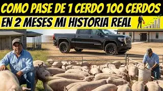 Cómo Pasé De 1 CERDO 100 CERDOS en  2 Meses MI HISTORIA REAL Tienes Que Ver Este Video