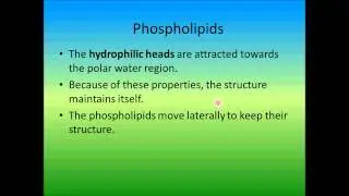 IB Teaching Biology Series: IB Biology Standards 2.4