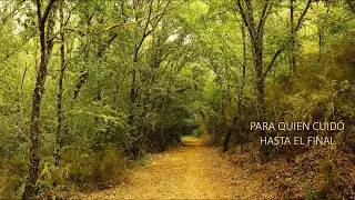 PARA QUIEN CUIDÓ HASTA EL FINAL