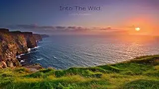 INTO THE WILD | Julien Journet