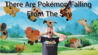 Found A Pok&eacute;mon Facebook Marketplace Bundle Which I Couldn't Refuse