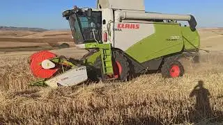 CS 6050 CLAAS 320