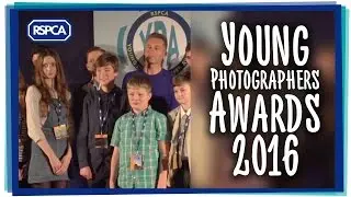 RSPCA YPA Awards 2016