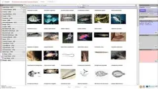 Hippalus - A Preference Enriched Faceted Exploratory System