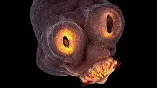 Universe Documentary: Space Mysteries - Alien Safari | National Geographic Documentary